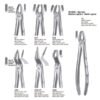 LS1 FORCEPS INCIS.-CANINO SUP. LIQUIDSTEEL