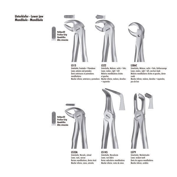 LS13 FORCEPS PREMOLAR INF. LIQUID STEEL