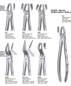 LS18 FORCEPS MOLAR SUP. IZQ. LIQUID STEEL