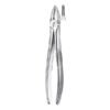 29 FORCEPS
