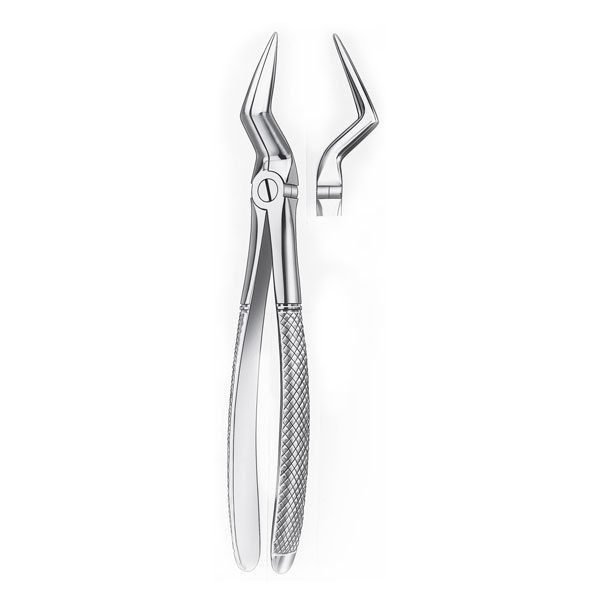 151 1/2D FORCEPS RAICES SUP. DIAM.