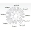 6909 ANTERIOR UNIVERSAL N9 12u