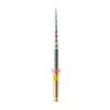 HYFLEX CM NITI 15/04  21 mm.