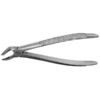 FX31E FORCEPS RAICES INFERIORES
