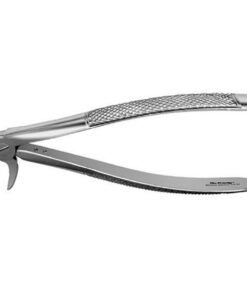 FX33E FORCEPS RAICES INFERIORES