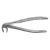 FX36E FORCEPS PREMOLAR INFERIOR