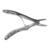 FX5CE FORCEPS NIÑO ANTERIOR