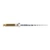 LIMAS PROTAPER GOLD S2 31mm. 6u. (A0410-2)