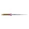 LIMAS PROTAPER GOLD F1 31mm. 6u. (A0411-1)