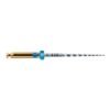 LIMAS PROTAPER GOLD F3 31mm. 6u. (A0411-3)