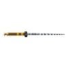 LIMAS PROTAPER GOLD F5 31mm. 6u. (A0411-5)