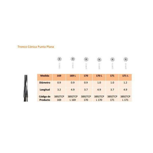 169L FG CARB.TUNGS.FIG.23L 5ud